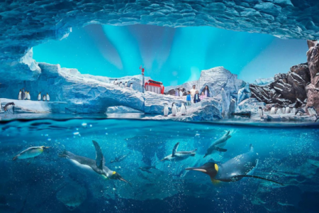 Sea World Abu Dhabi