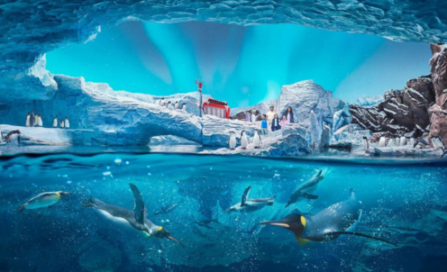 Yas Water World Abu Dhabi