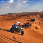 Morning Desert Safari in Dubai