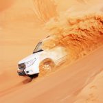 Morning Desert Safari