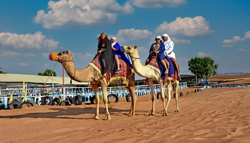 Desert Safari Tours